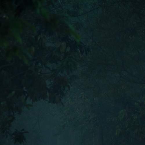 Photo #6861981