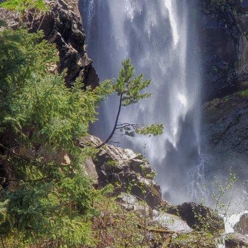 Photo #6862110