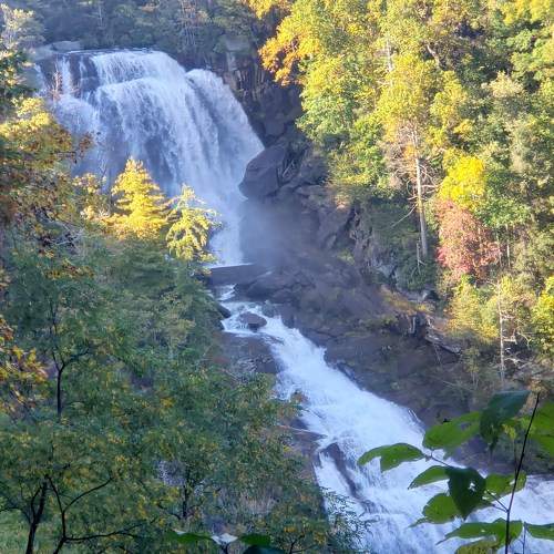 Photo #6862118