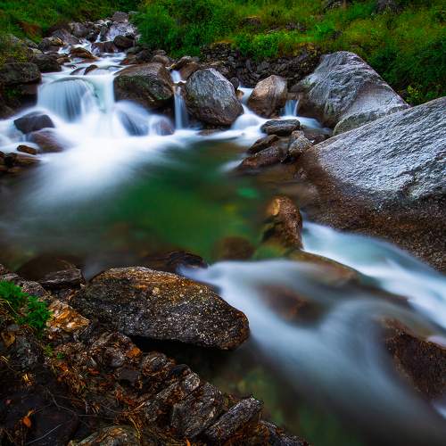 Photo #6862172