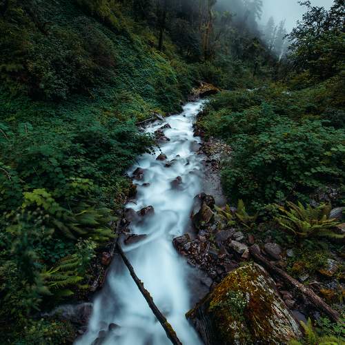 Photo #6862173