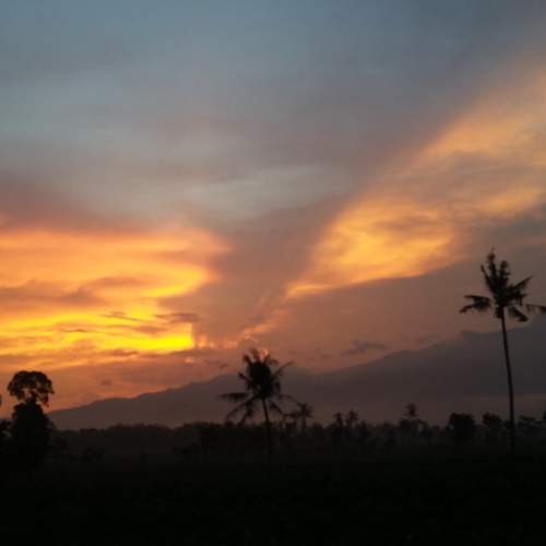 Photo #6862988