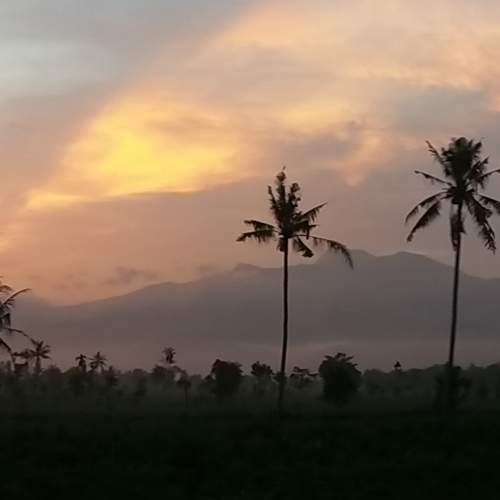 Photo #6862993