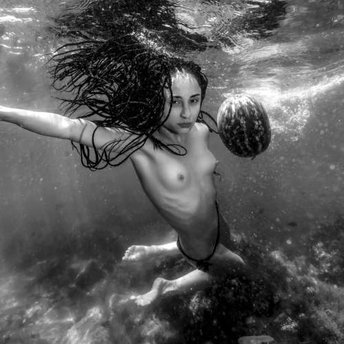 Photo #6863152