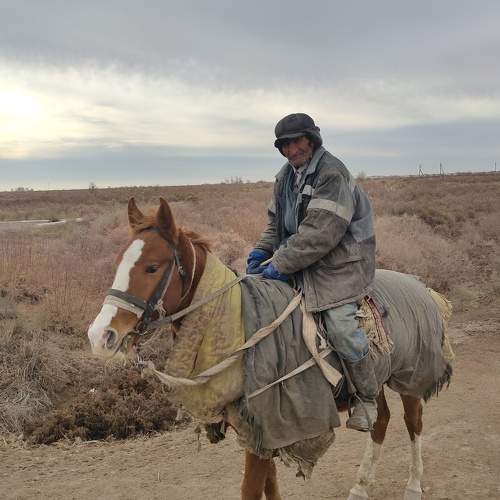 Photo #6863165