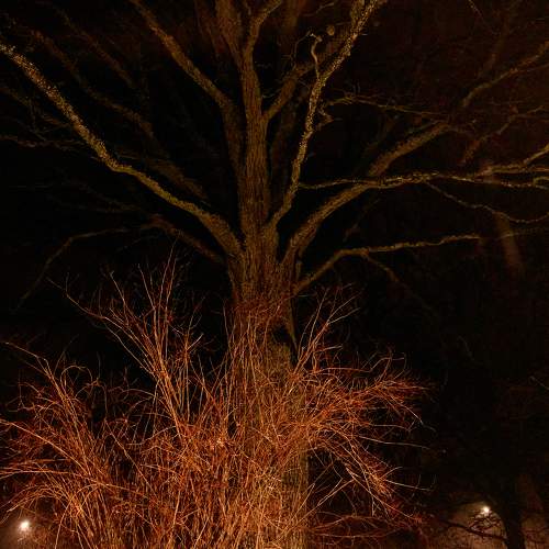 Photo #6863330