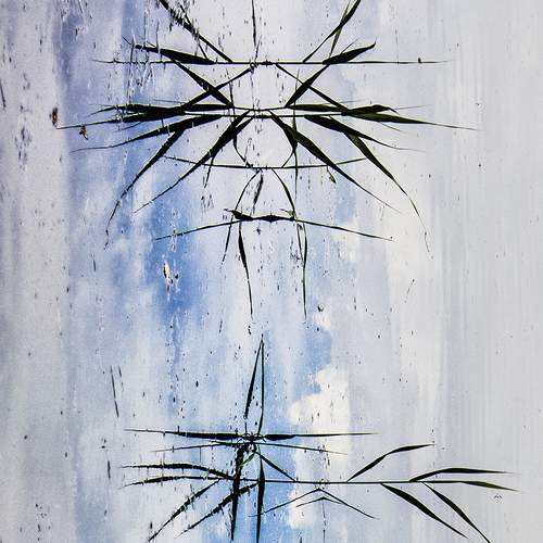 Photo #6863396