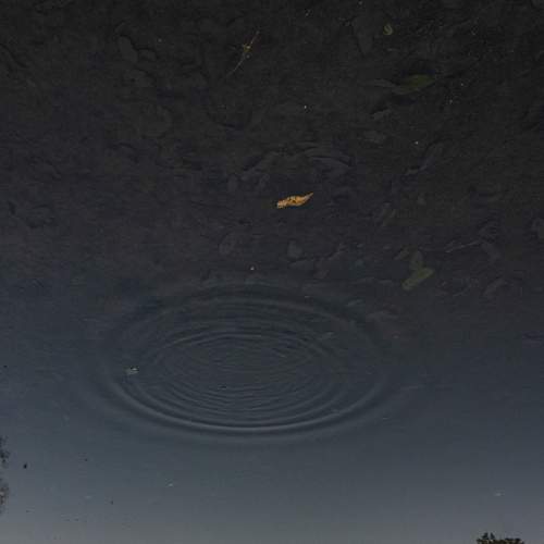 Photo #6863458