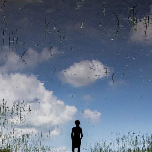 Photo #6863502