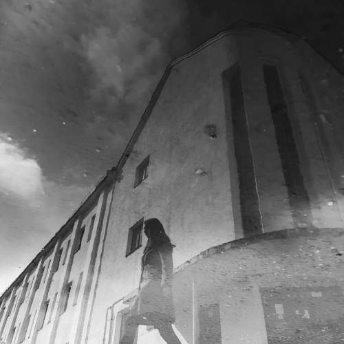 Photo #6863679