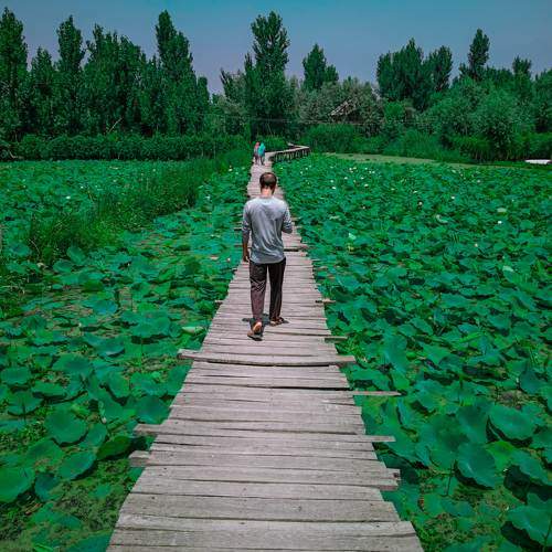 Photo #6863733