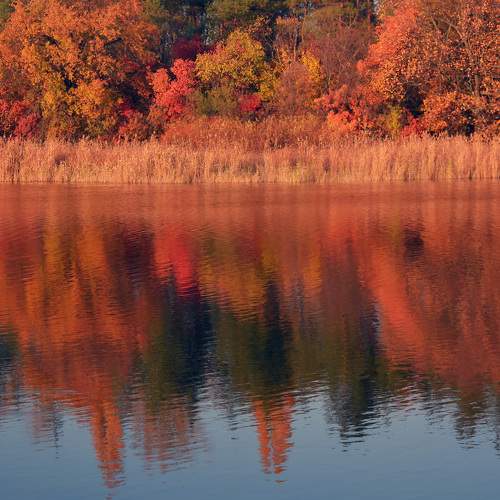 Photo #6863823