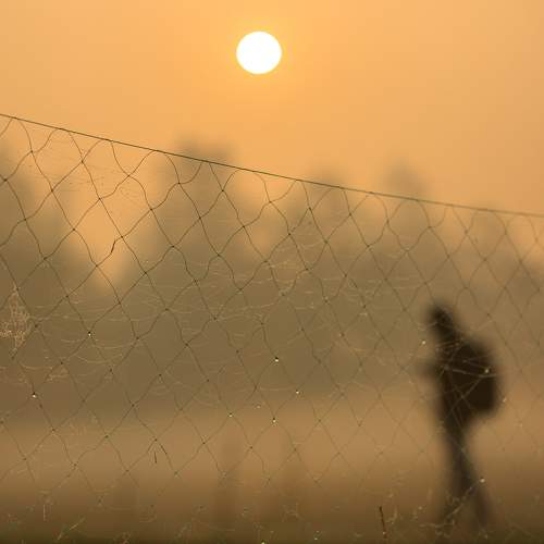 Photo #6863913
