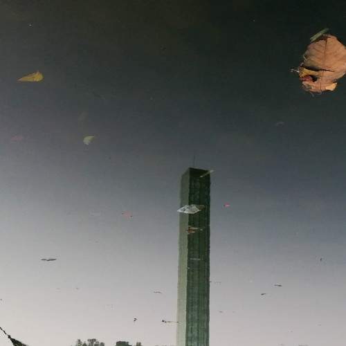 Photo #6863928