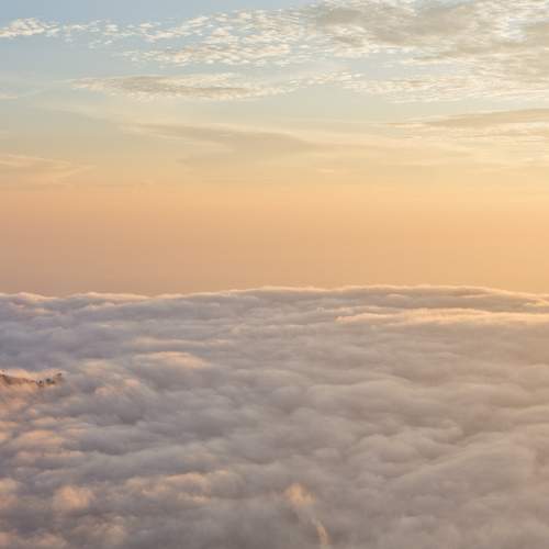 Photo #6864201