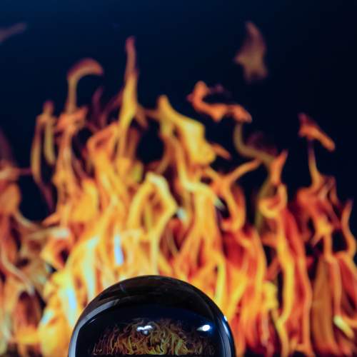 Photo #6864206