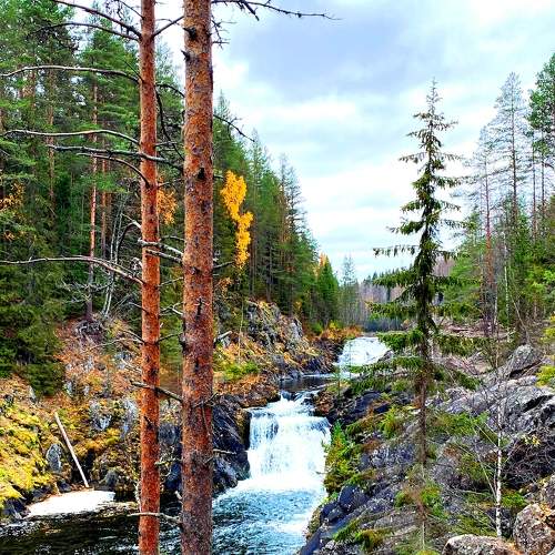Photo #6864504