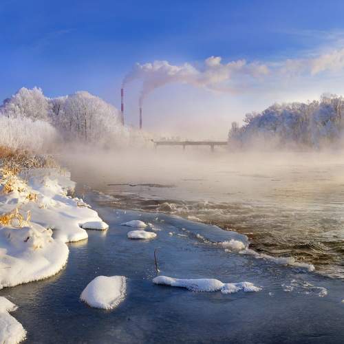 Photo #6864552