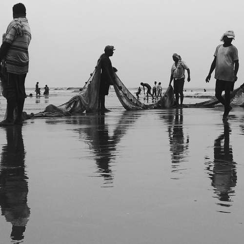 Photo #6864576