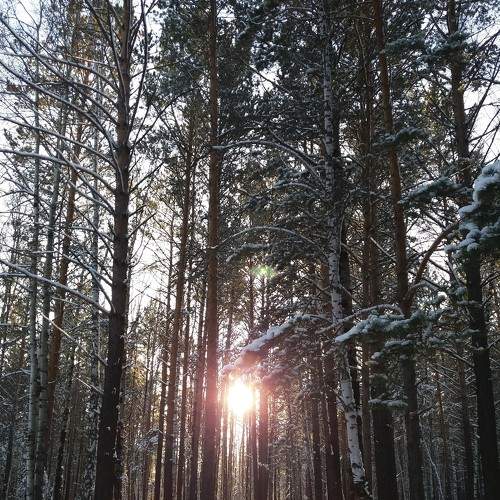 Photo #6864586