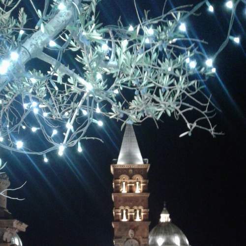 Photo #6864603