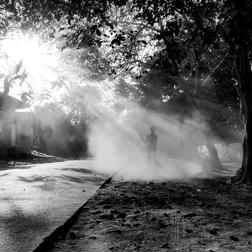 Sweeping in action
