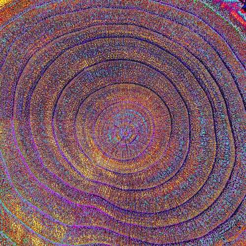 Photo #6864945