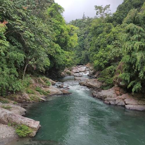 Photo #6864980