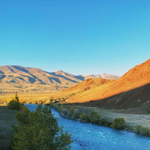 Photo #6865189