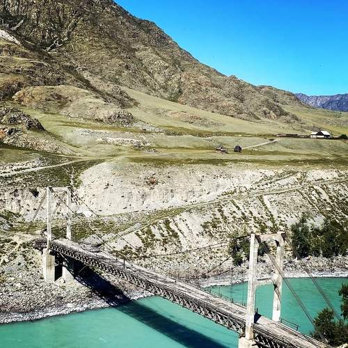 Photo #6865190