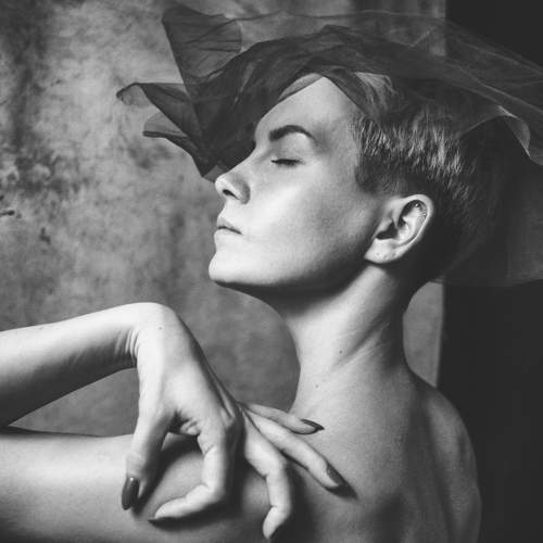 Photo #6865316
