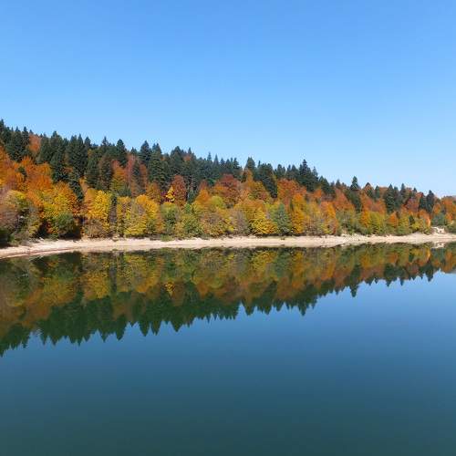 Photo #6865331