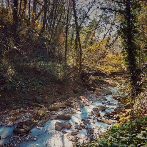 Photo #6865440