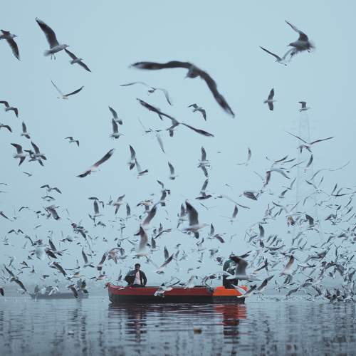Photo #6865861