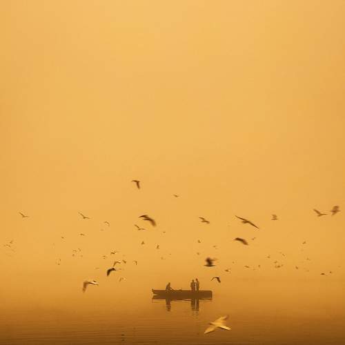 Photo #6865865