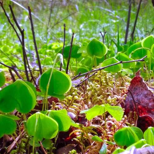 Photo #6865888