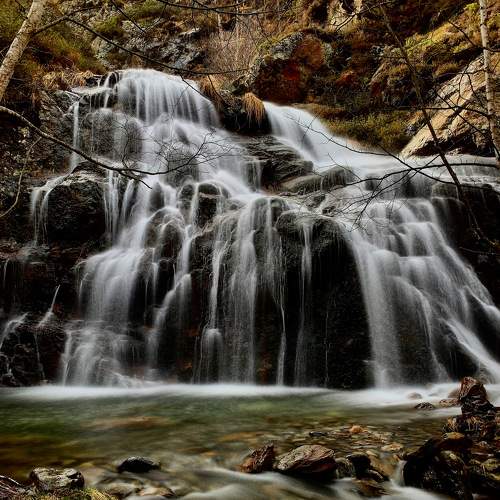 Photo #6866194