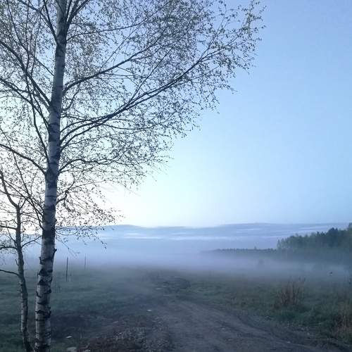 Photo #6866218