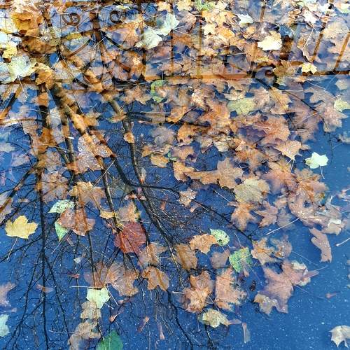 Photo #6866390