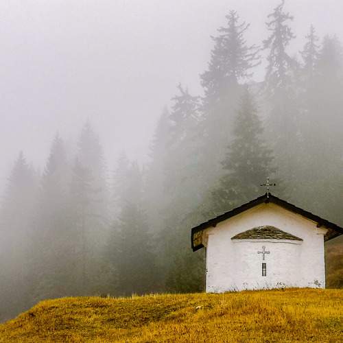 Photo #6866422