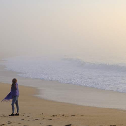 Photo #6866444