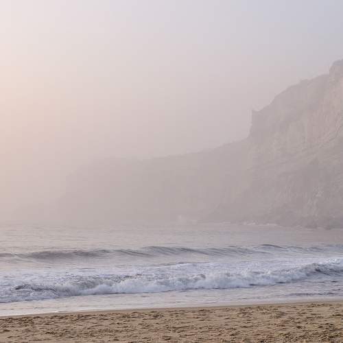 Photo #6866446