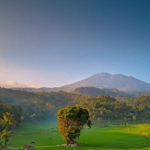 Photo #6866780