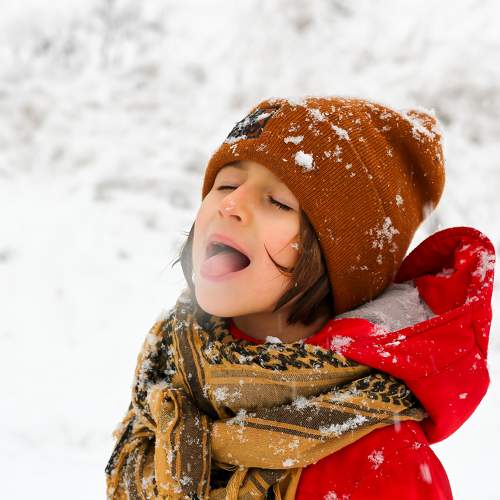 Photo #6866840