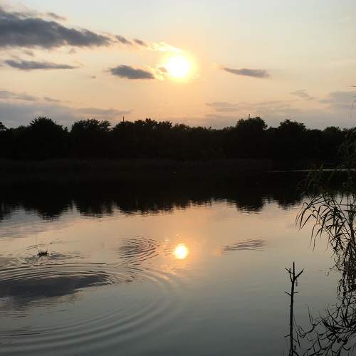 Photo #6866898