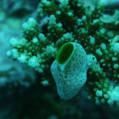 Photo #6867105