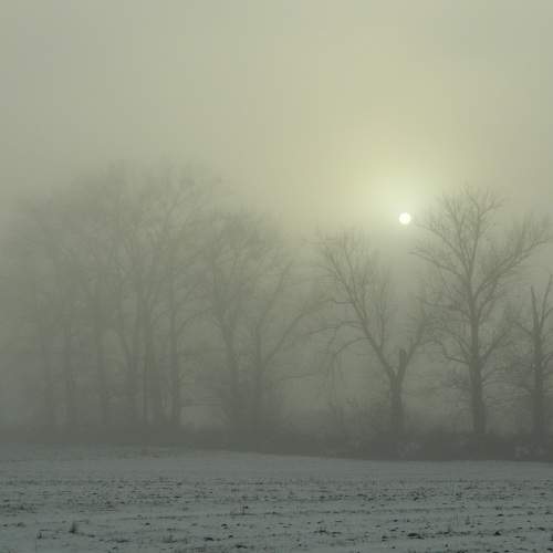 Photo #6867142