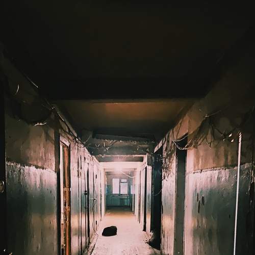 Photo #6867154