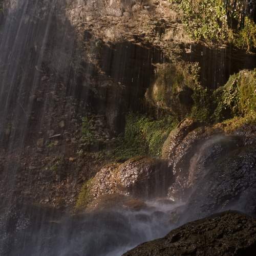 Photo #6867339