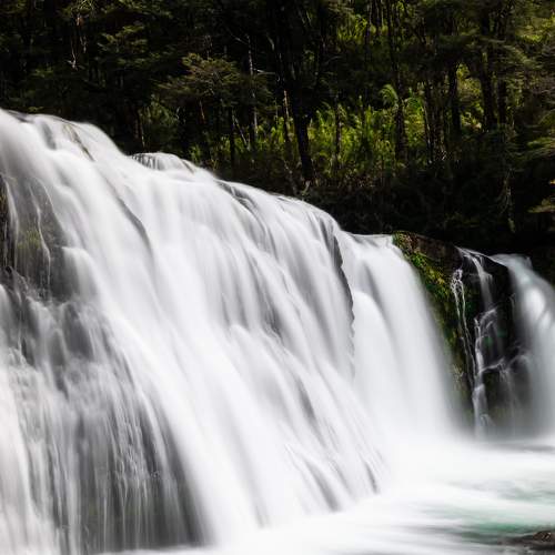 Photo #6867556